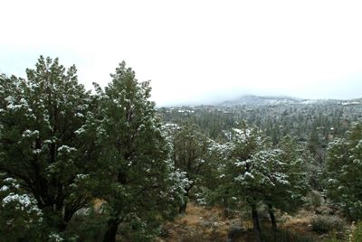 Prescott, AZ, morning of February 24, 2004.