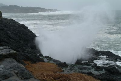 Salt spray on the Oregon coast.